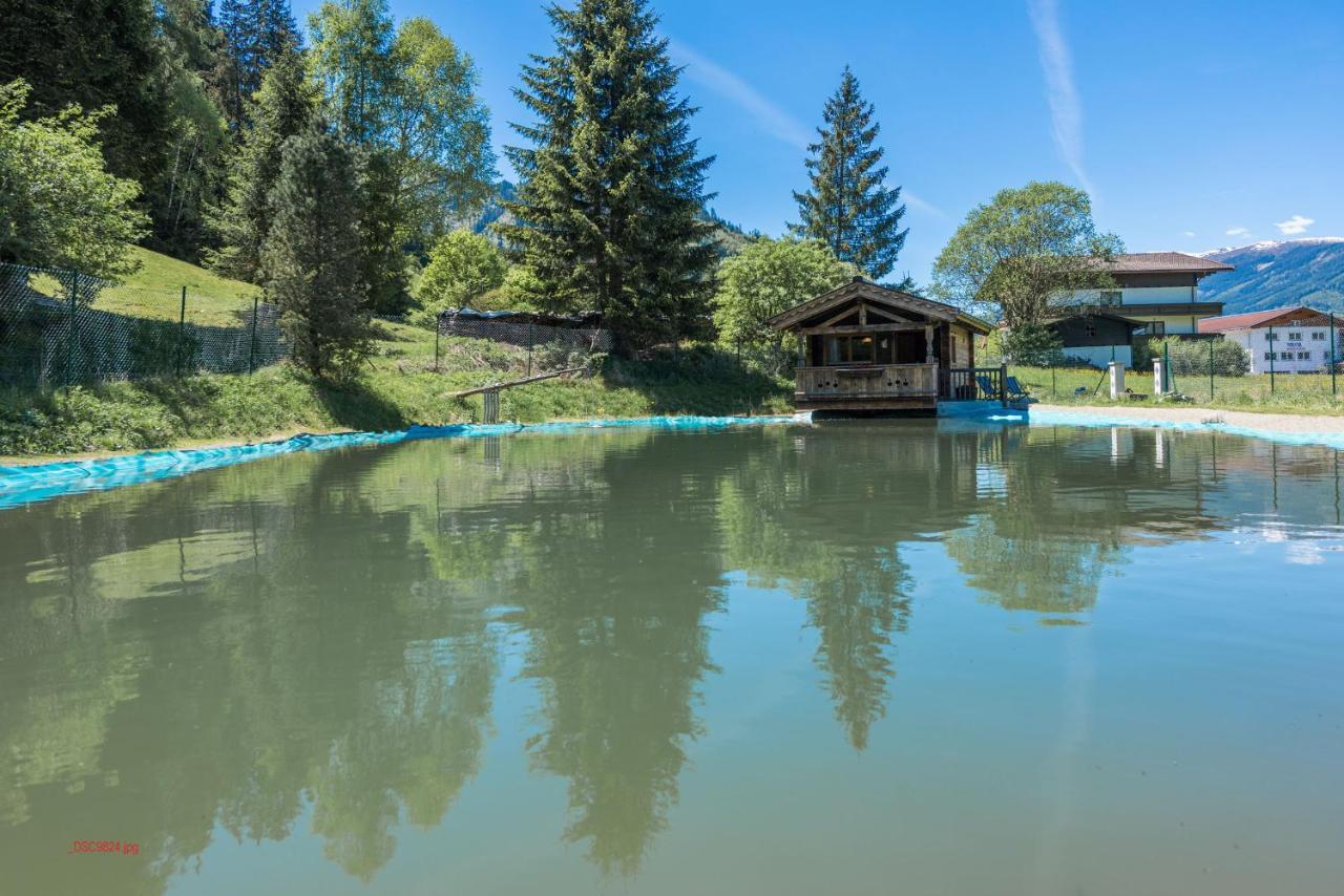 Almliesl HOLL-559 Villa Hollersbach im Pinzgau Dış mekan fotoğraf